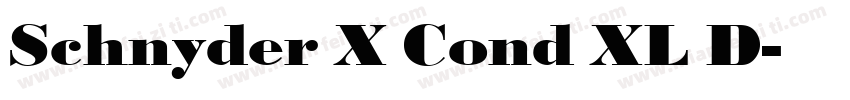 Schnyder X Cond XL D字体转换
